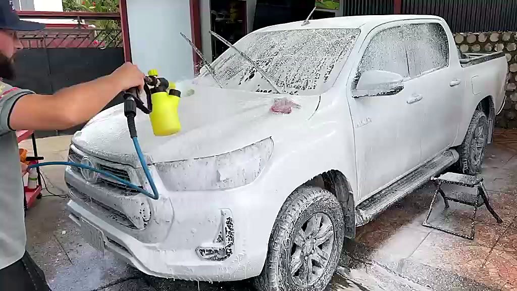 Lavado Detallado Profesional